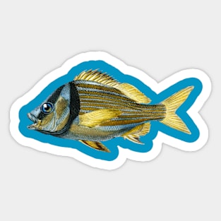 Fish Sticker